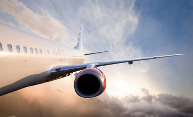 Tyler Olson-shutterstock.com/2013