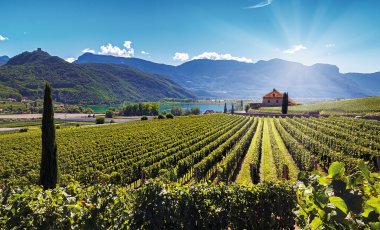 Streifzüge durch Südtirol