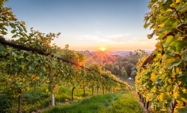 Südsteirische Weinstraße
