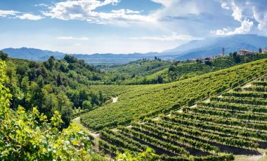 Grappa & Proseccostraße