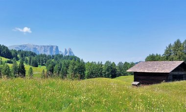 Wanderwoche Südtirol