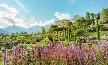 Blühender Südtiroler Süden