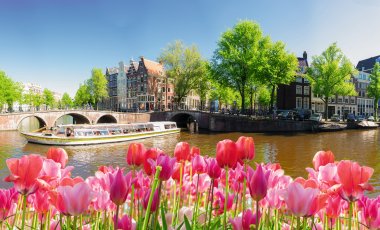 Zum Blumenkorso nach Holland